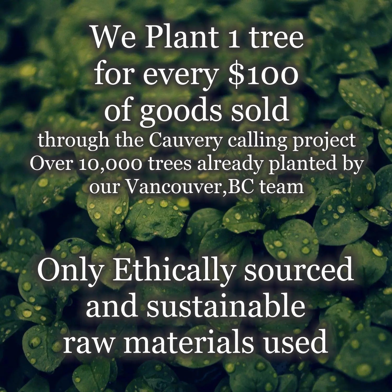 Kuhvai Organic Sleep Blend oil - Made in Canada Amethyst Aether